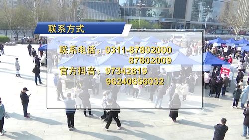 亮點多多 河北省第二場 春招 在省藝術中心文化廣場舉辦