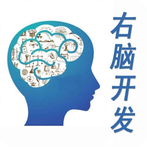 “開發右腦”真相大揭秘 別讓“神童夢”蒙蔽雙眼